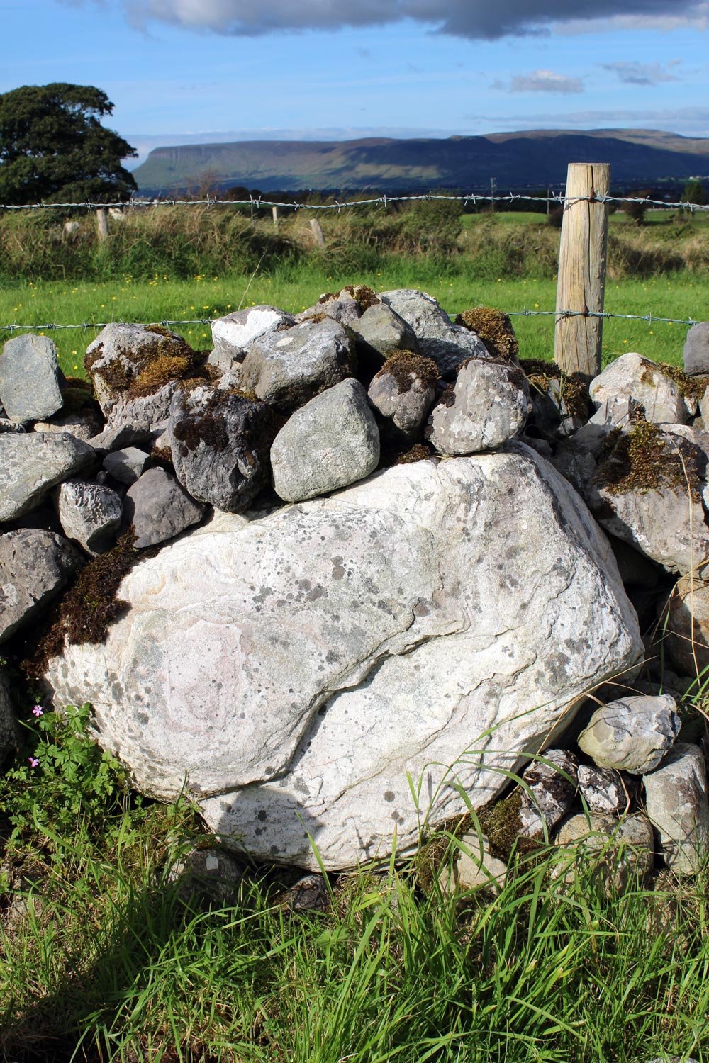 Stone in a wall.