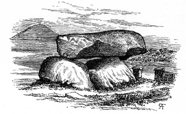 Dolmen
        of the Four Maols, Ballina, Co Mayo. From Borlase, Dolmens of Ireland, 1895.