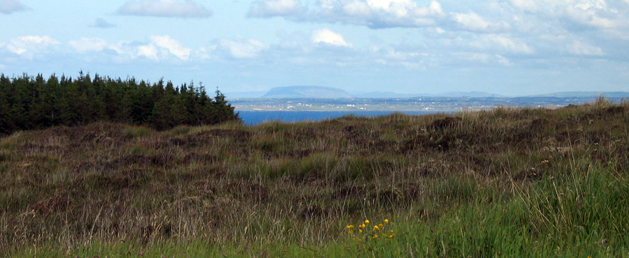 The monuments at Rathlackan.