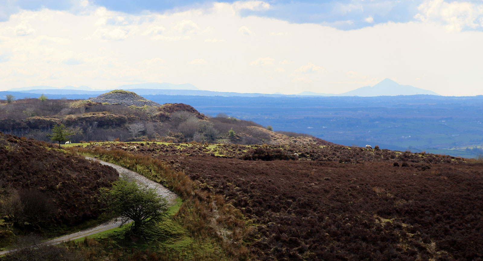 The view from Carrowkeel in County Sligo to Croagh Patrick in County Mayo.