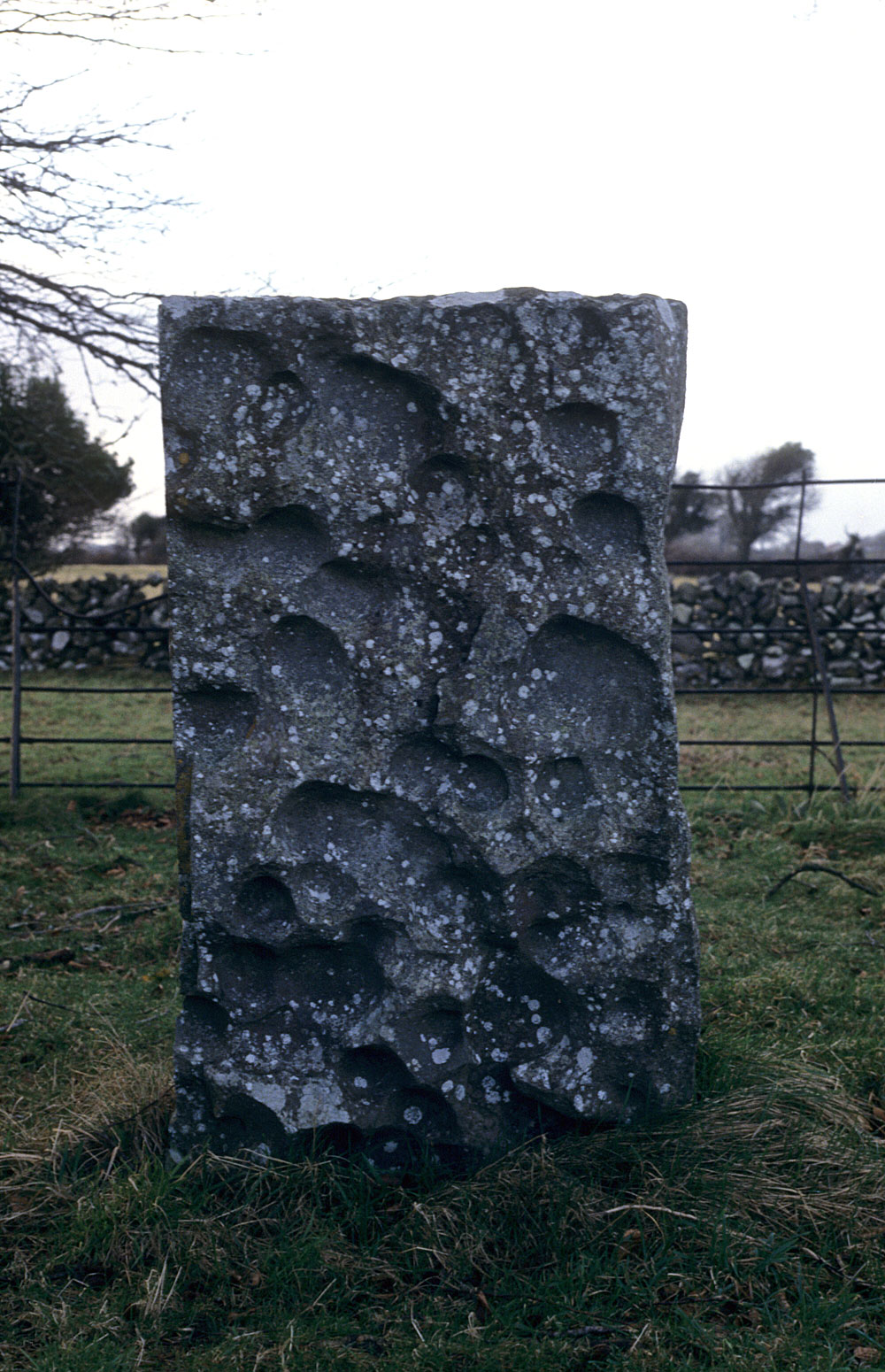 One of the stones in the first circle has unusual water-worn patterns covering the inner surface.