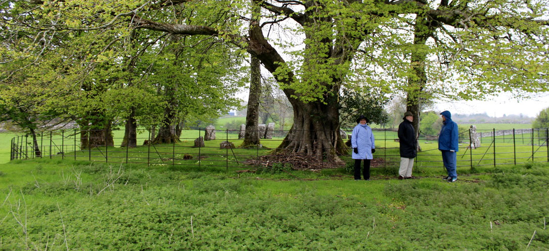 The Nymphsfield stone circle close to the village of Cong in County Mayo.