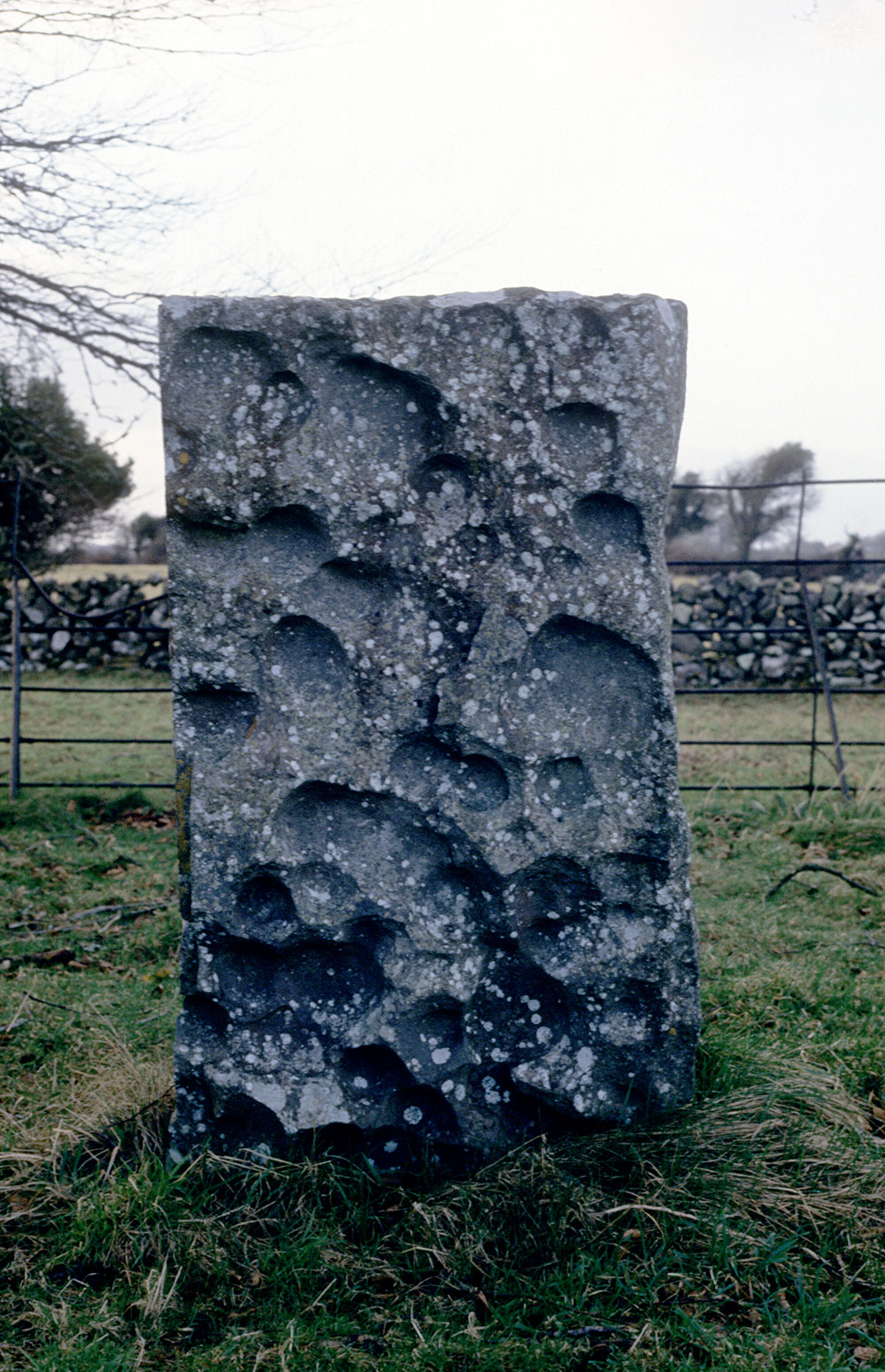 A circle stone at Nymphsfield close to Cong.