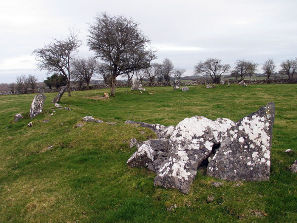 The largest of the four circles at Cong.