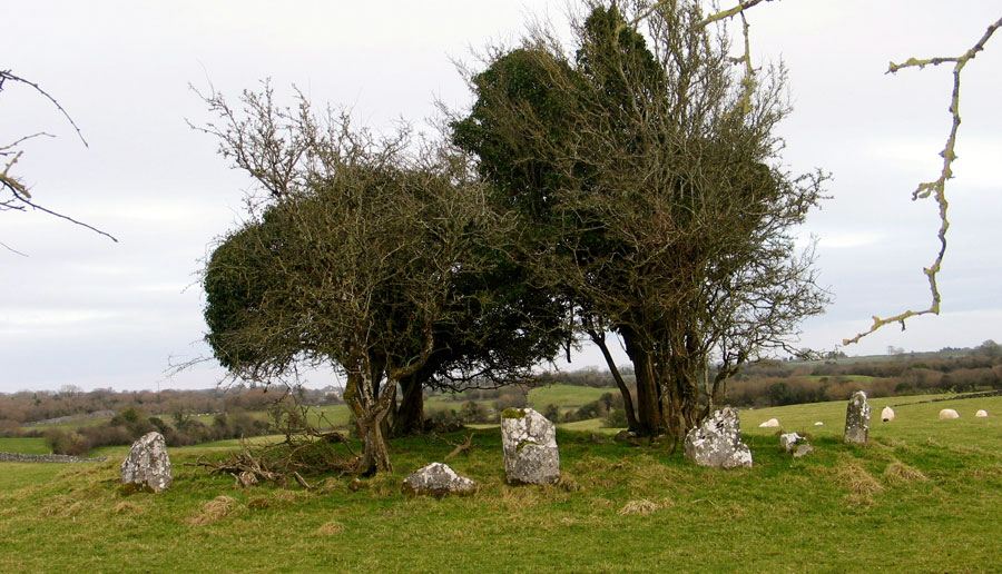 The smallest of the four stone circles at Nymphsfield near Cong.