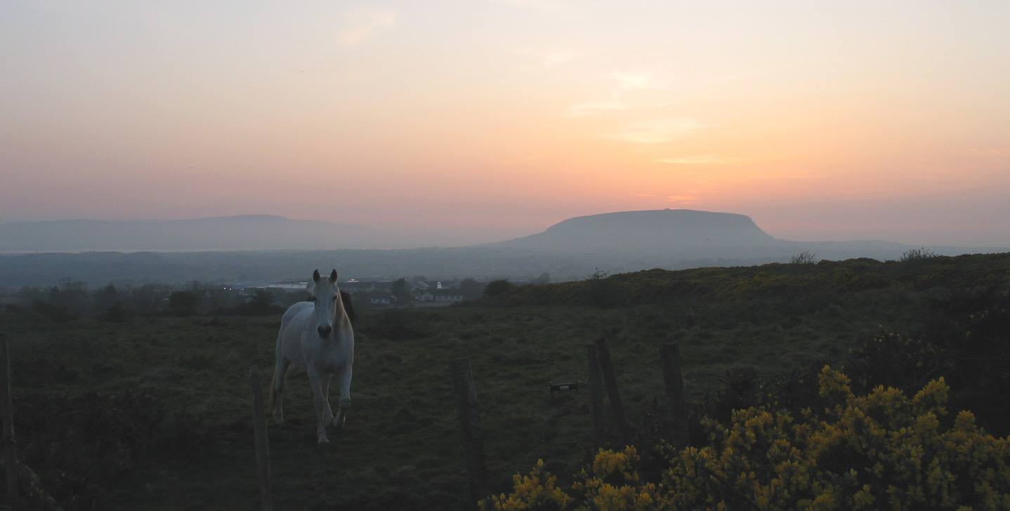 The Púca will often appear in the form of a horse. This image is of the view from Carns Hill to Knocknarea in County Sligo.
