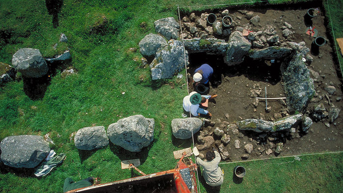 Primrose Grange excavation.