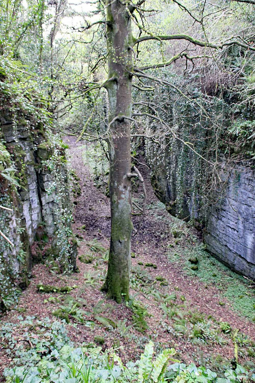 The Glen of Knocknarea.