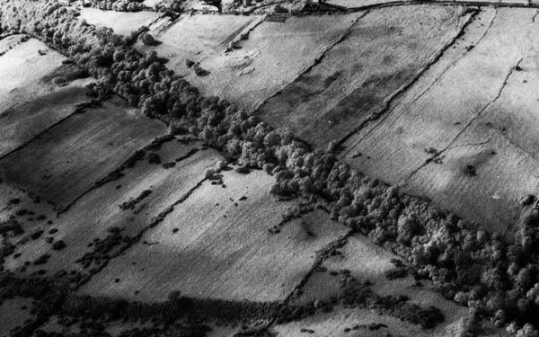 Aerial photo of the Glen.