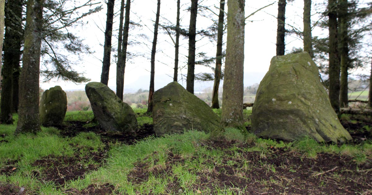 The Stone row at Barnasrahy in County Sligo.