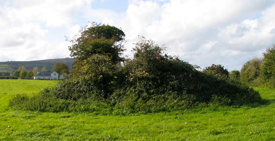 The Glen of Knocknarea