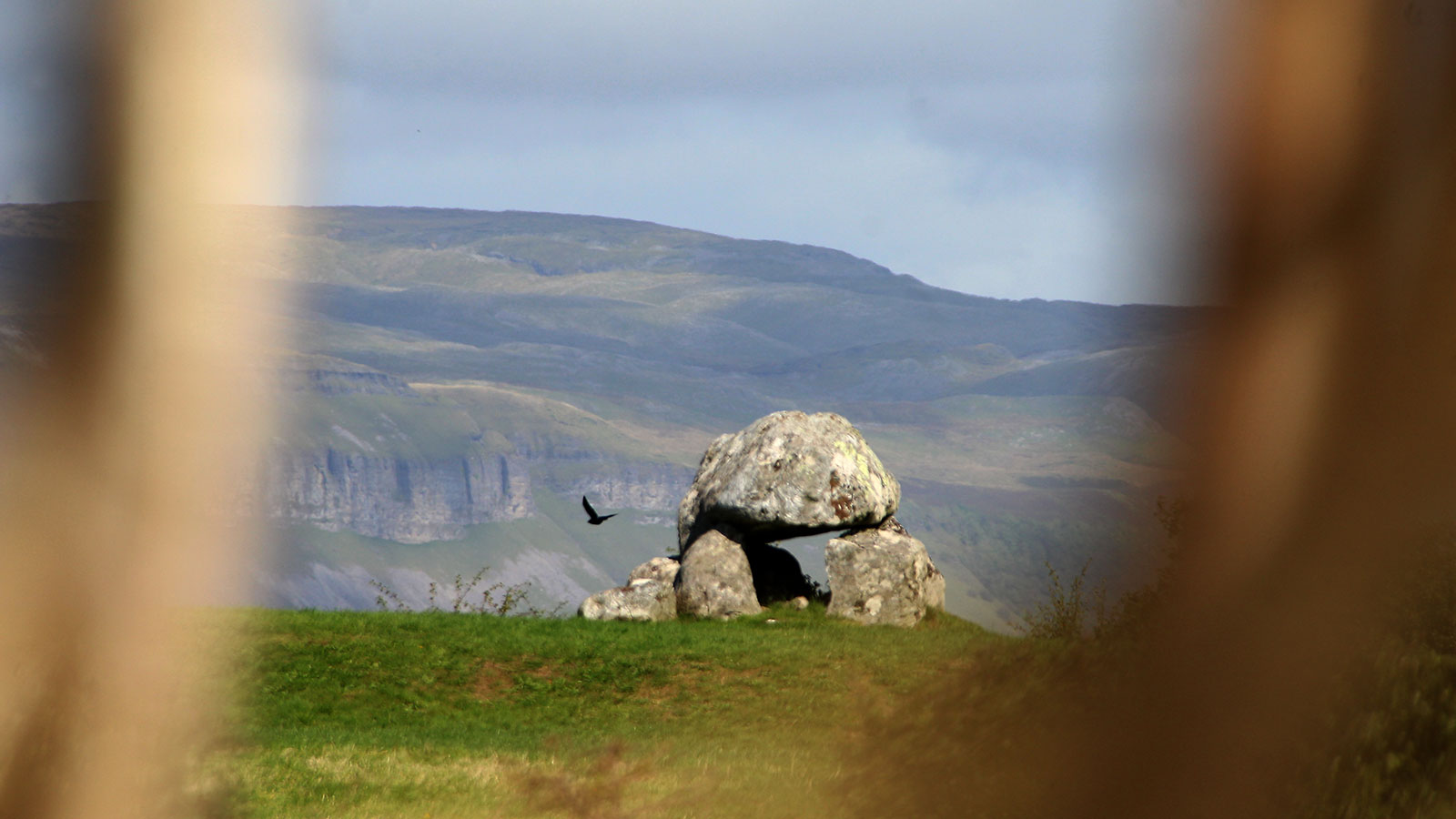 Curragh frame