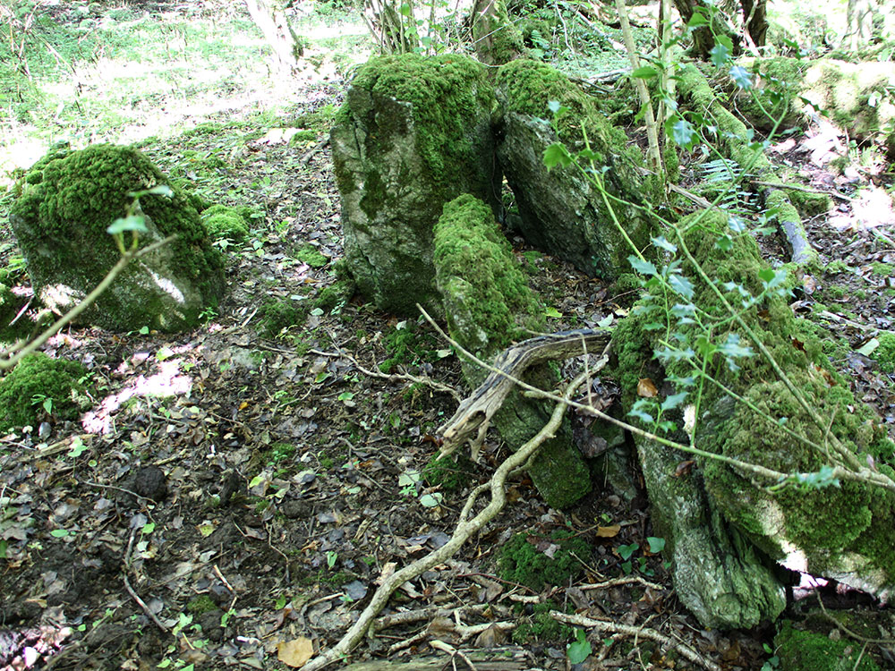 A possible megalithic chamber in the Glen, discovered in 2018.