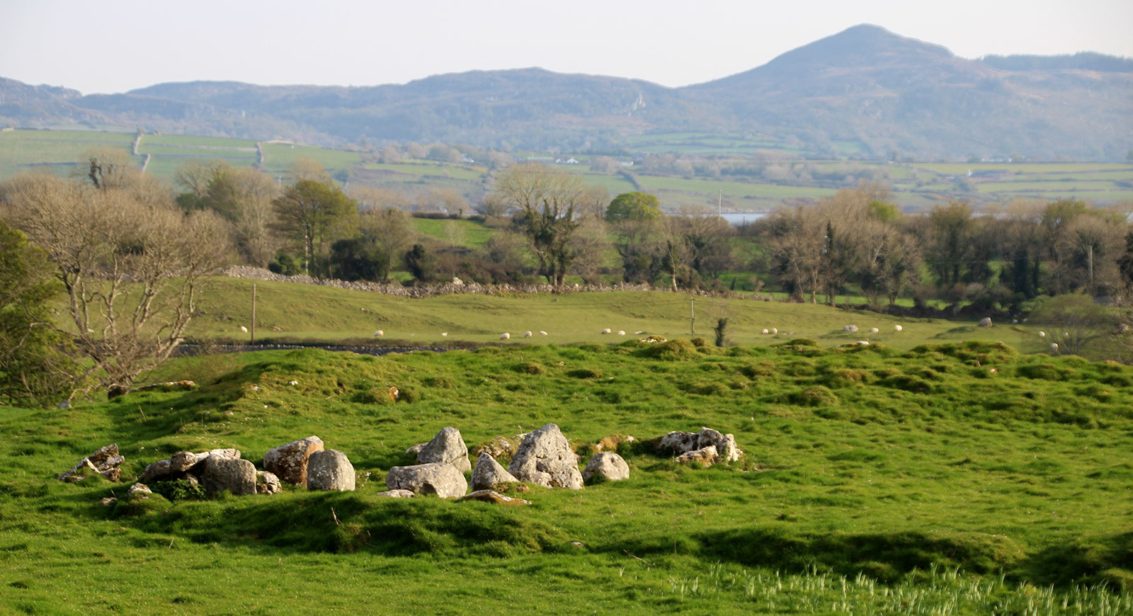 The Primrose Grange court tomb.