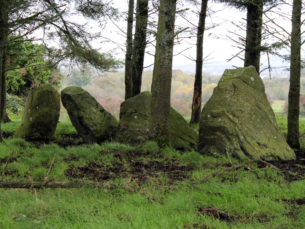 The Barnasrahy stone row.