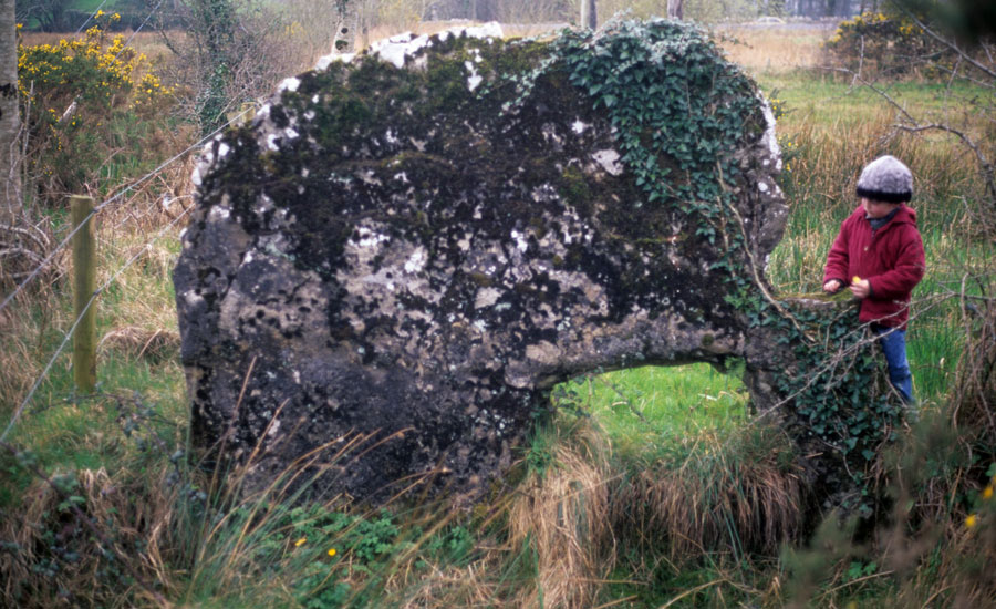 The Speckled Stone, County Sligo.