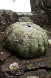 Petrified bread!