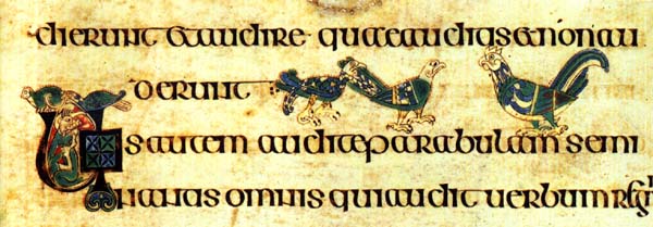 Celtic chickens
