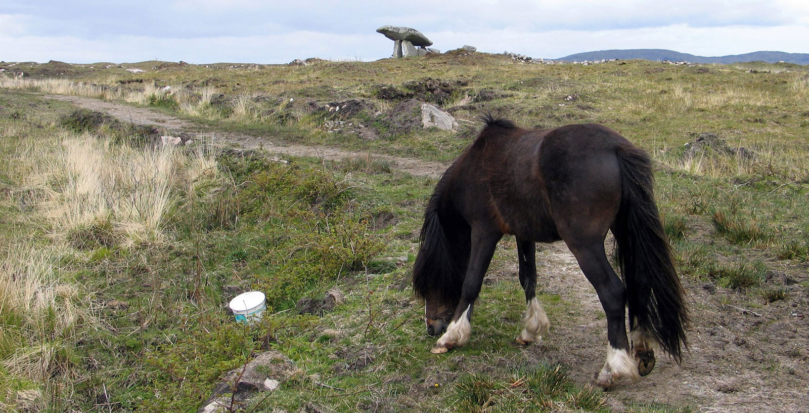 The Kilclooney dolmen with pony.