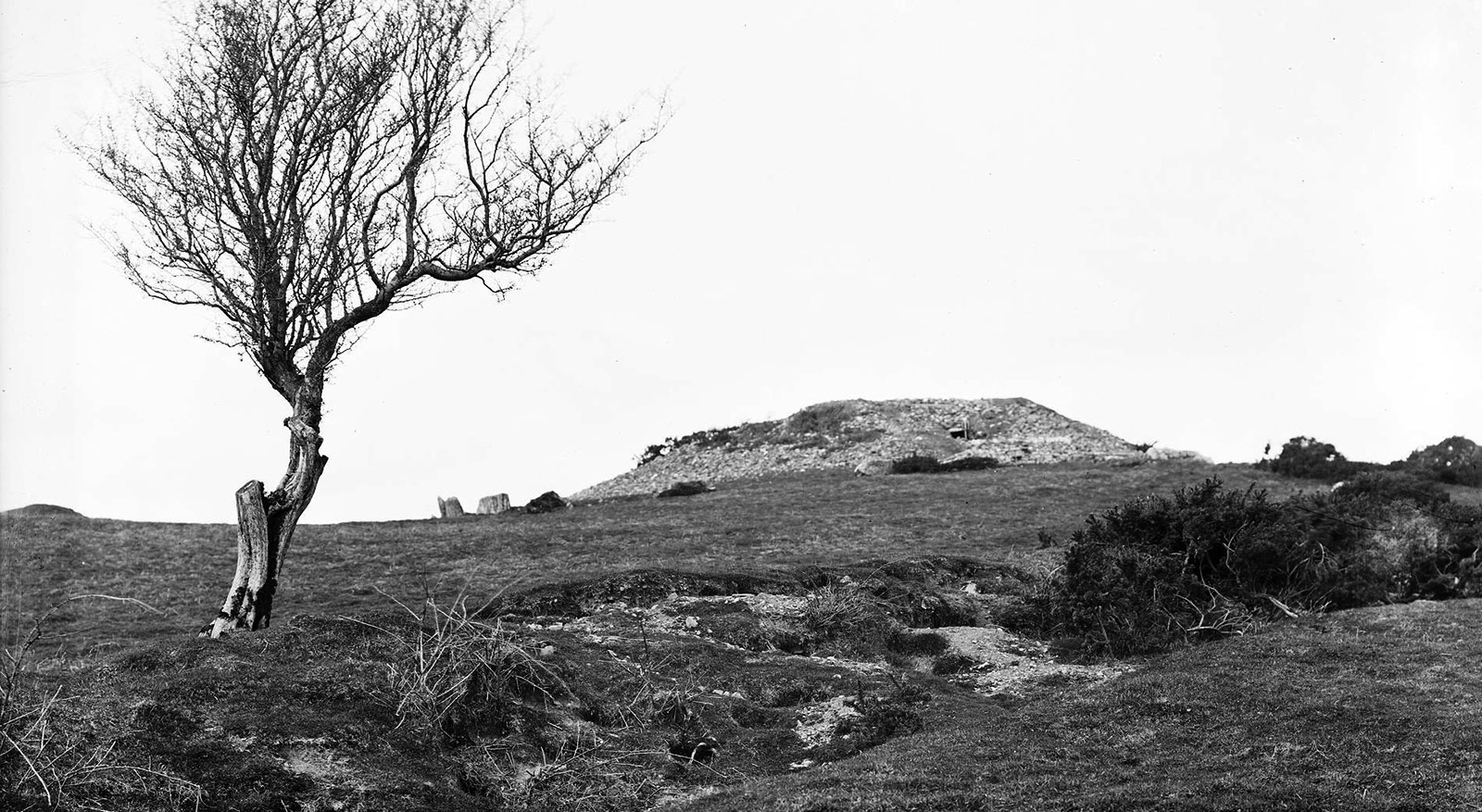 Cairn L at Loughcrew photographed by William Armstrong Green.