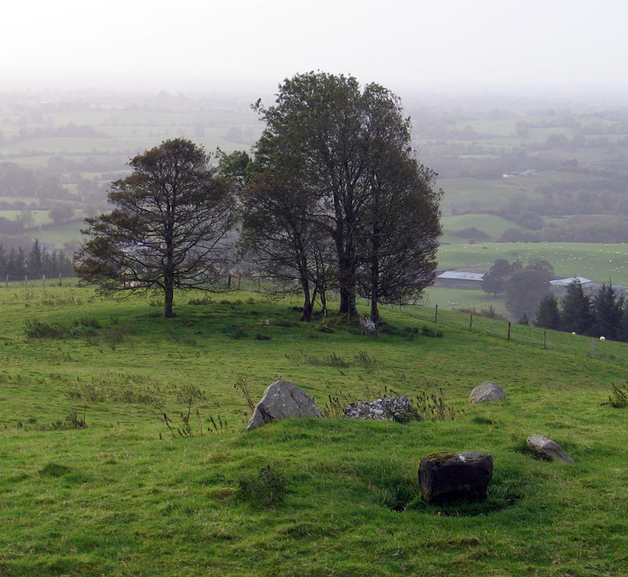 Cairn C at Loughcrew.