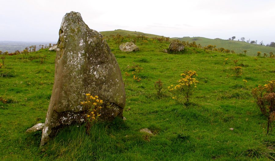 Standing stone near Cairn N