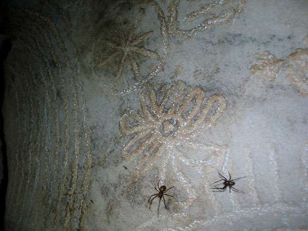 Spiders and megalithic art
