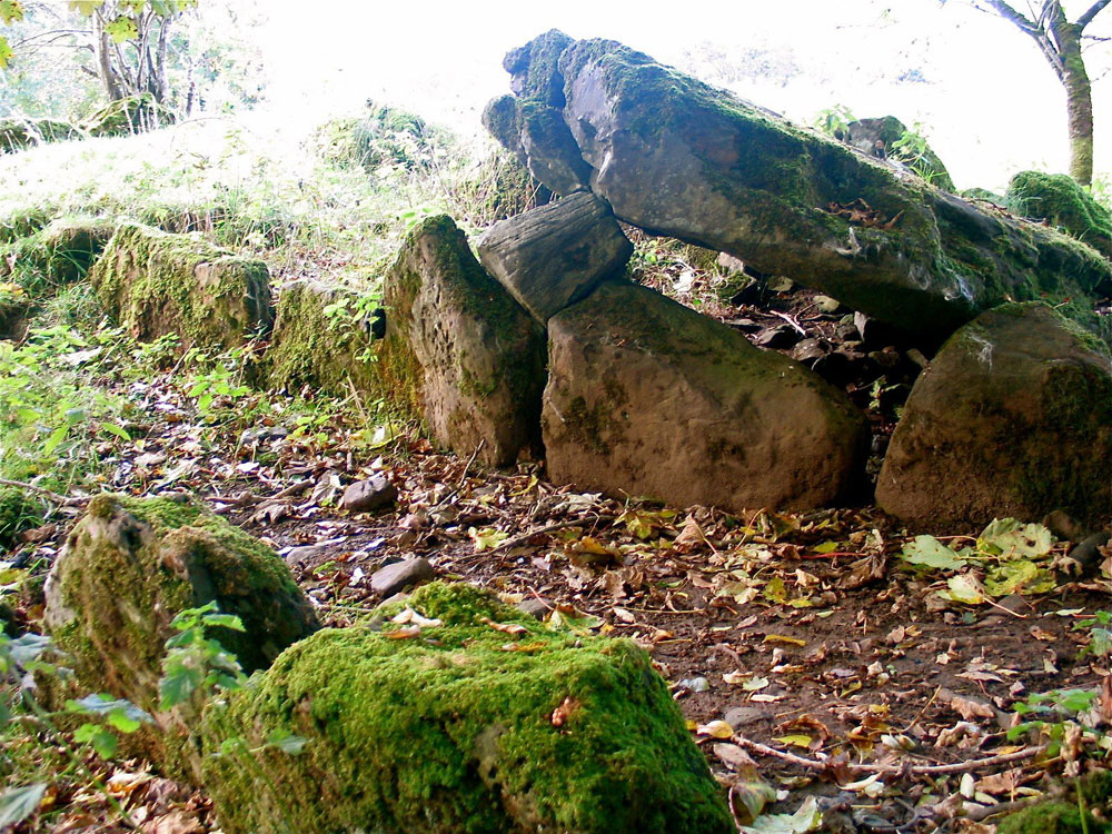 The Drumcliffe wedge tomb close to the River in County Sligo.