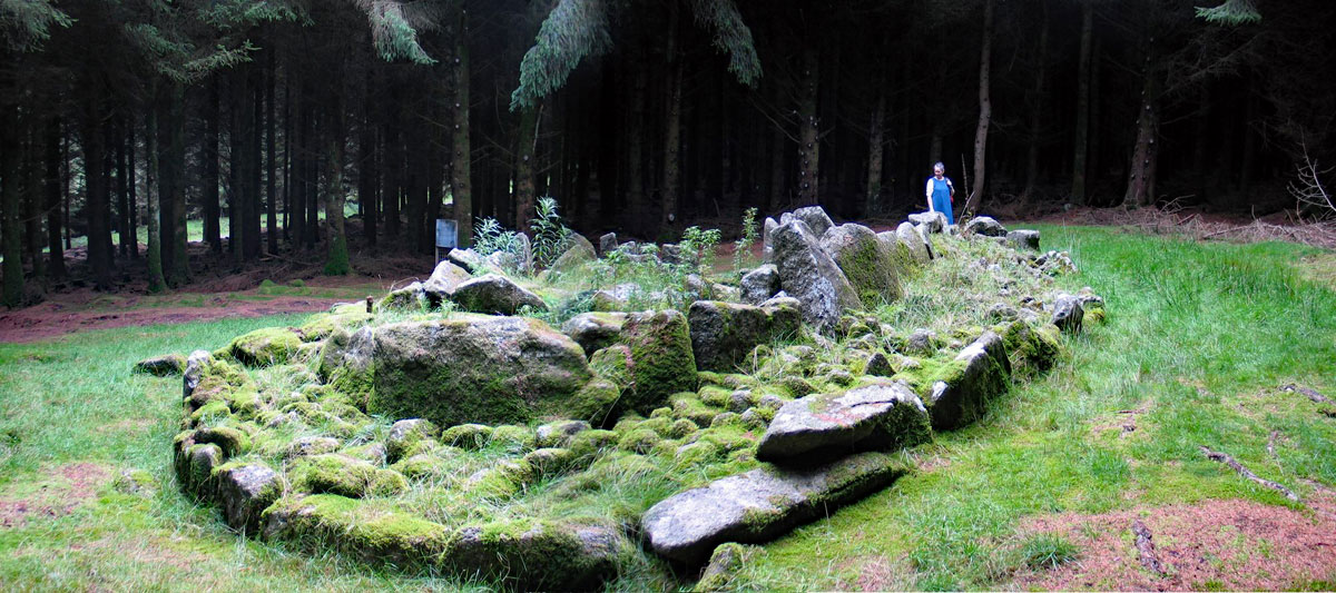 The Ballyedmonduff wedge tomb in County Dublin.