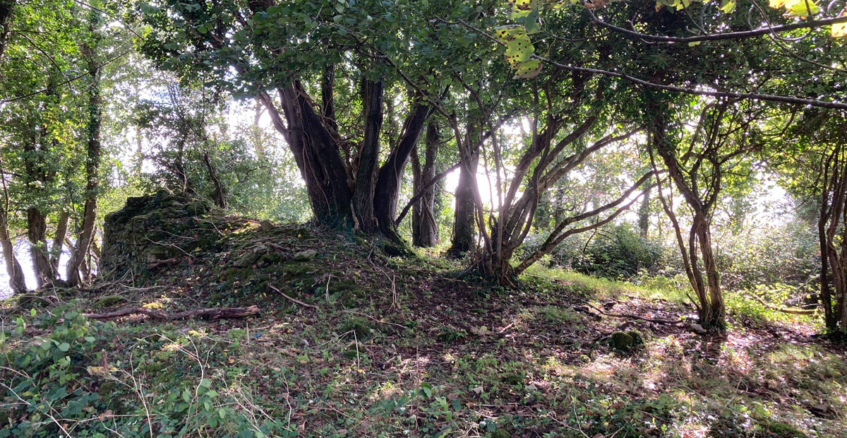 The ruined O'Rourke towerhouse at Duroy close to Newtown castle.