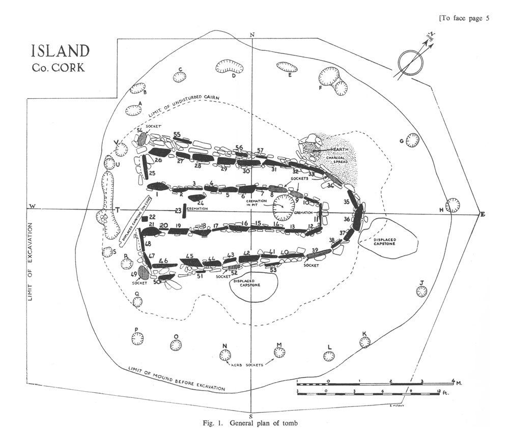 The plan of the Island wedge tomb in County Cork.