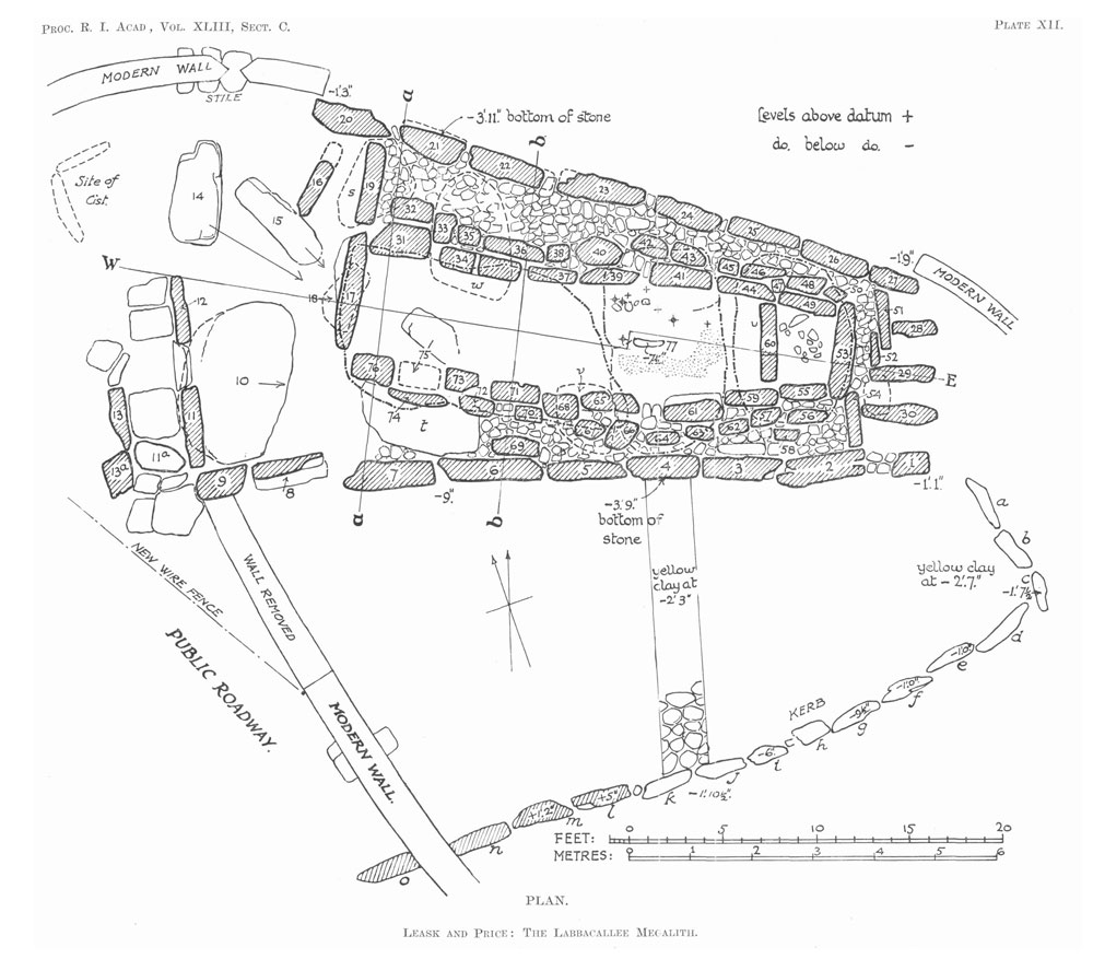 The plan of the Leabacallee wedge tomb in County Cork.