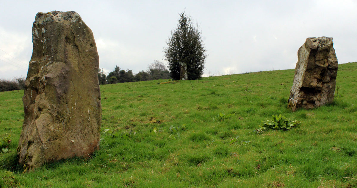 A selection of the Timoney stones.