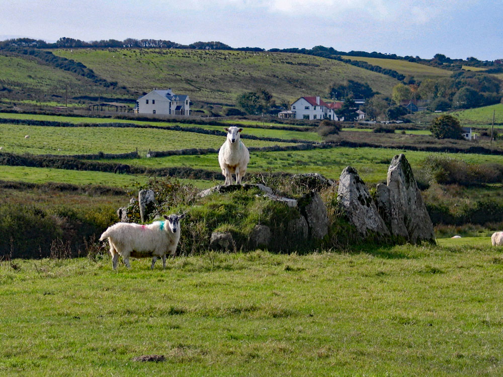 A fine example of a wedge tomb in County Donegal between Ballyshannon and Rossnowlagh.
