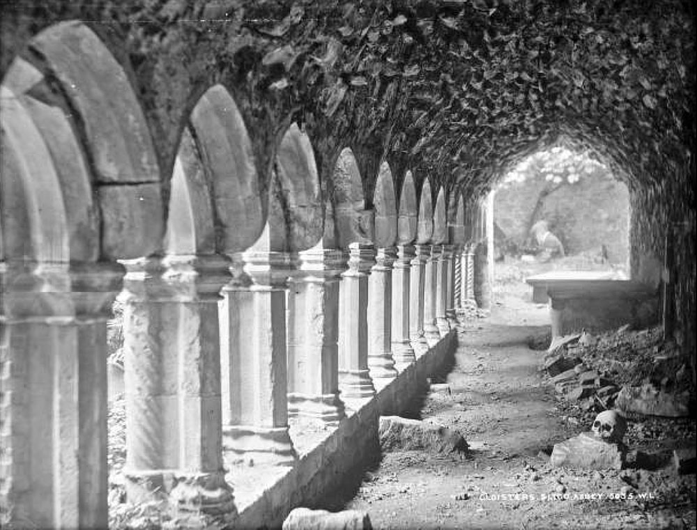 A human skull in the cloisters of Sligo Abbey, seen in a photograph taken around 1880.