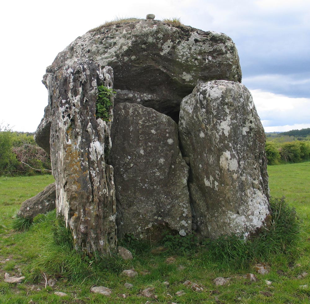 The Dromadone dolmen near Boyle.