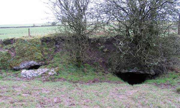 The Cave of the Cats.