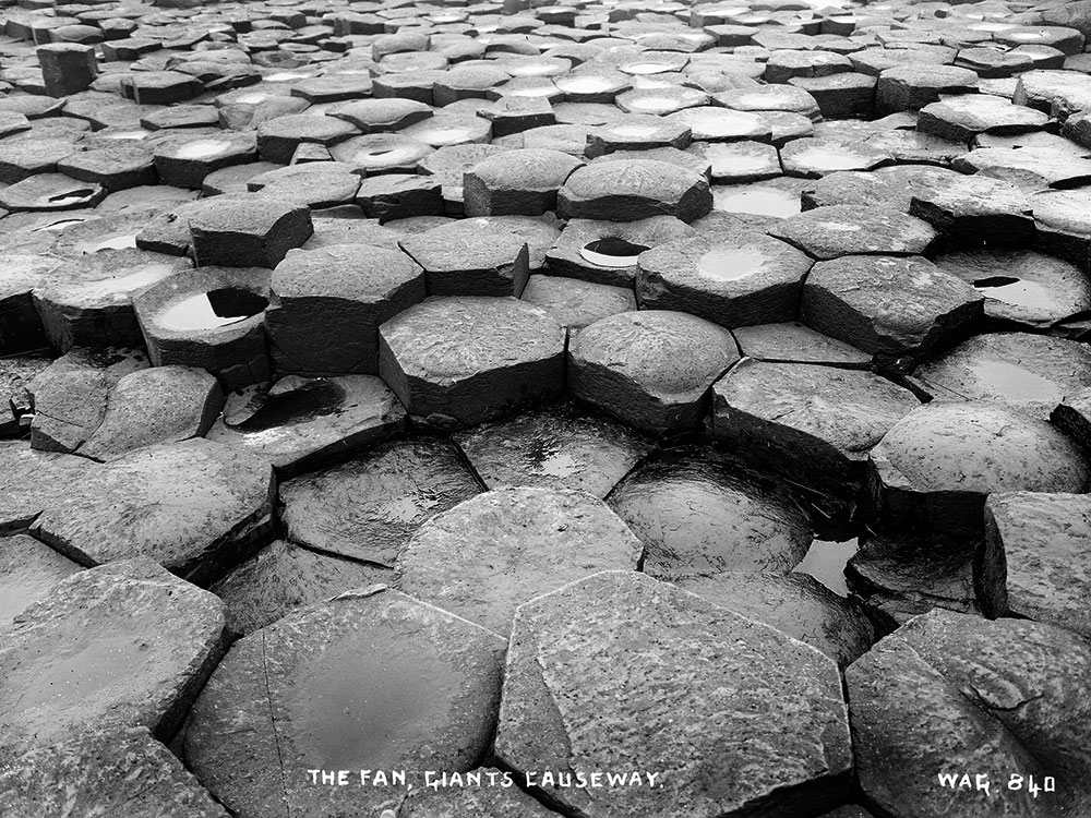 The Giant's Fan at the Giant's Causeway.