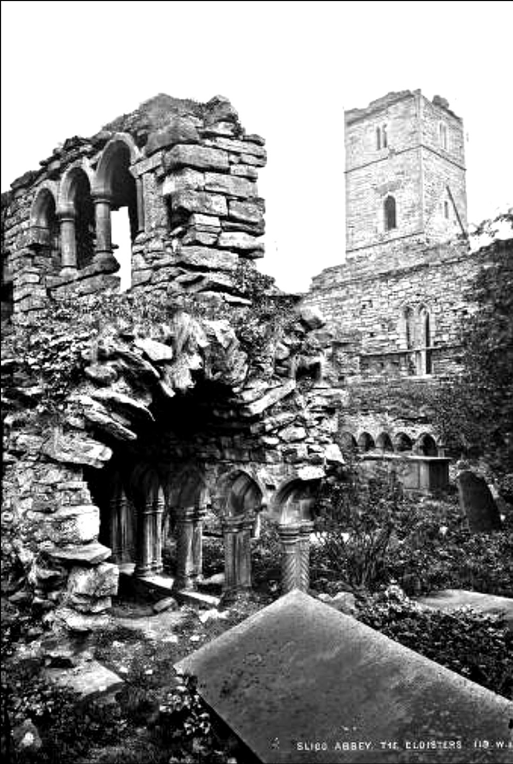 An old photograph of the cloisters in Sligo Abbey before they were restored by the Office of Public Works.