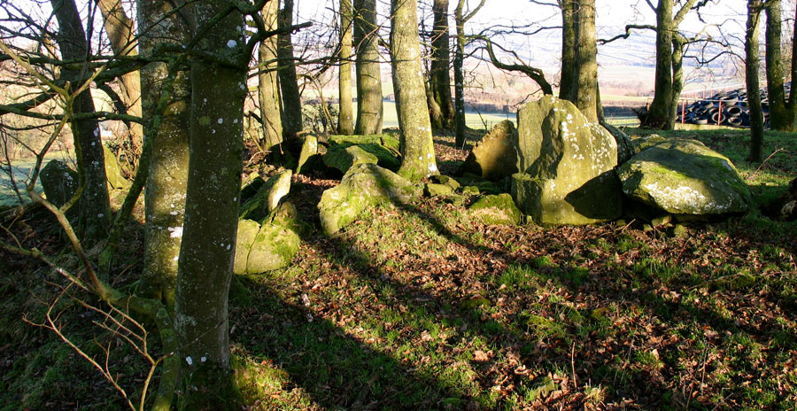 Site
      A is one of the few remaining structures at Kilmonaster.