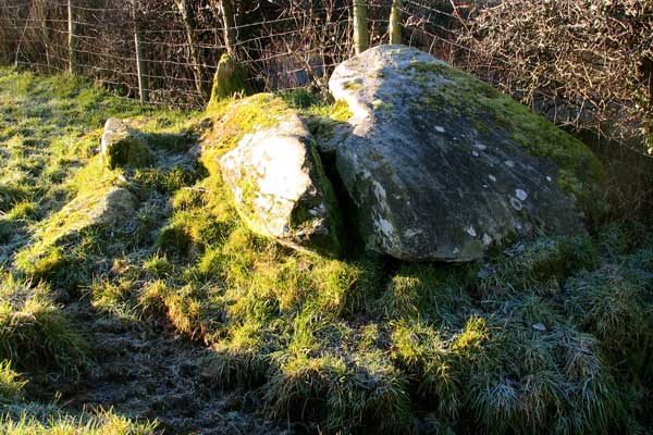 The remains of Site D at Kilmonaster.