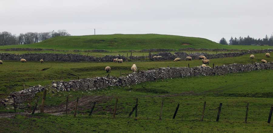 Queen Maeve's Palace, the main mound at Rathcroughan.