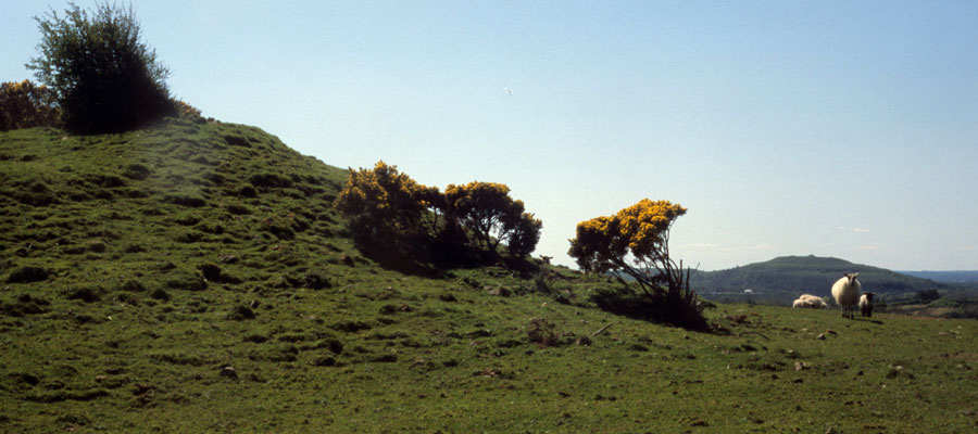 Sheemor viewed from Sheebeg in County Leitrim.