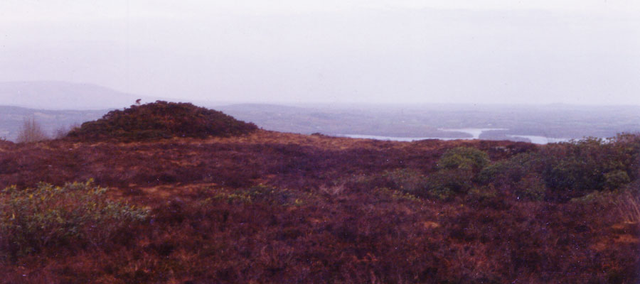 Sheegorey, a neolithic cairn in the Curlew Mountains.