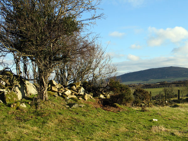 Site J, a fairly ruined megalithic chamber.