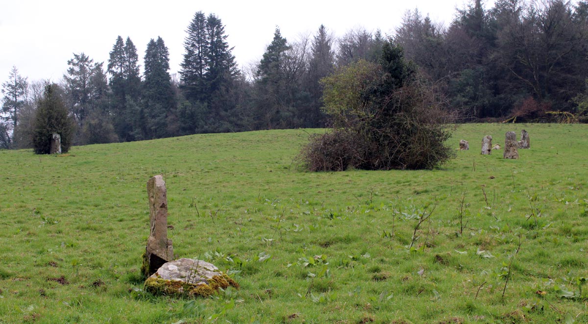 A selection of the Timoney stones.