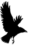 Raven.
