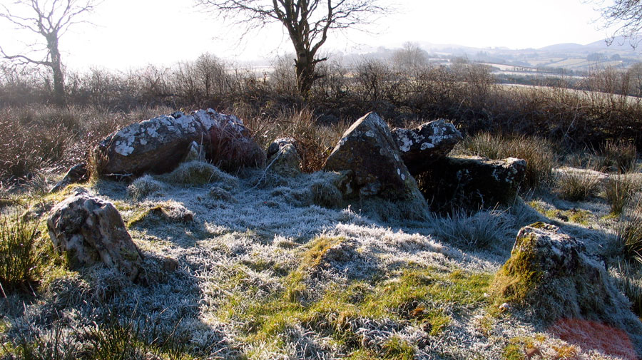 The cruciform chamber at Ardloy.