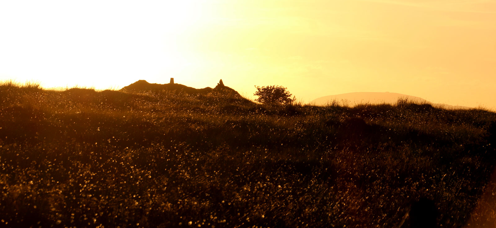 The large court cairn at Moytura,