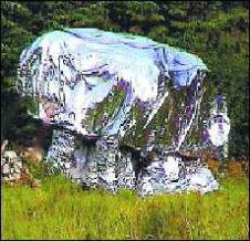 The Labby covered in foil.